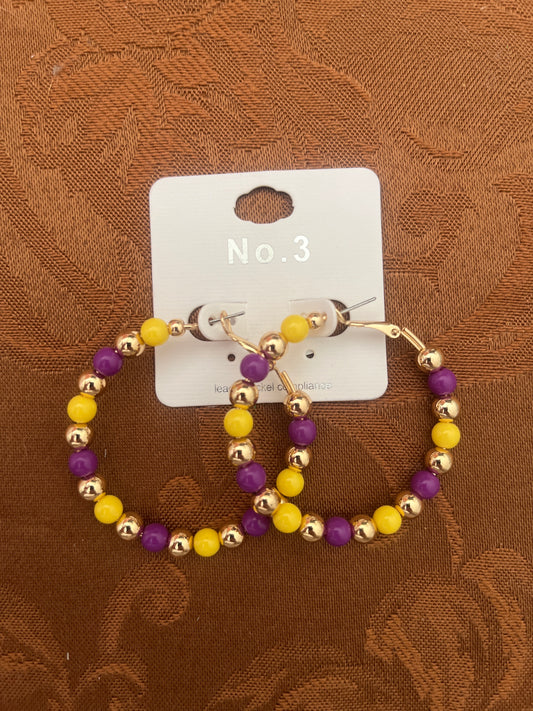 Purple and Gold ball hoops